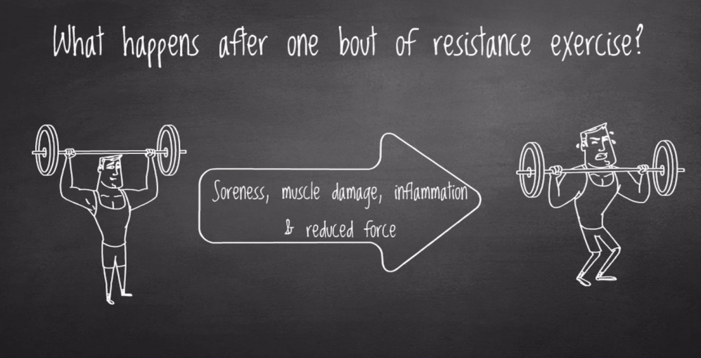 What happens after one bout of resistance exercise? Soreness, muscle damage, inflammation and reduced force