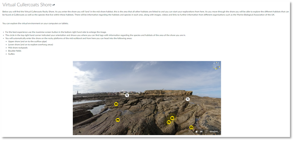 Virtual Cullercoats shoreline