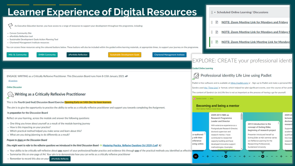 image learner experience and digital resources 
