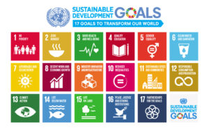 An image of the 17 Sustainable Development Goals created by the United Nations